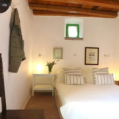 Axion * Aroniadhiánika