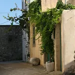 Axion * Aroniadika