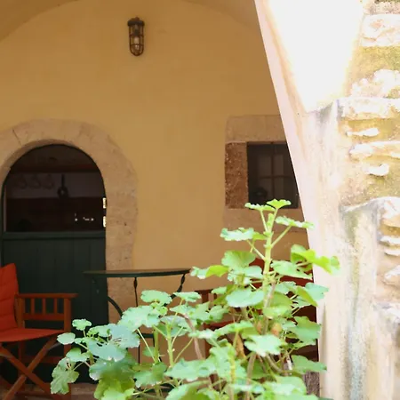 Axion * Aroniadhiánika