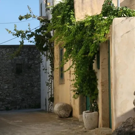 Axion * Aroniadhiánika