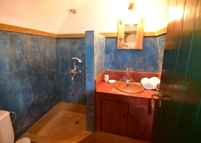 Axion Case de vacanță