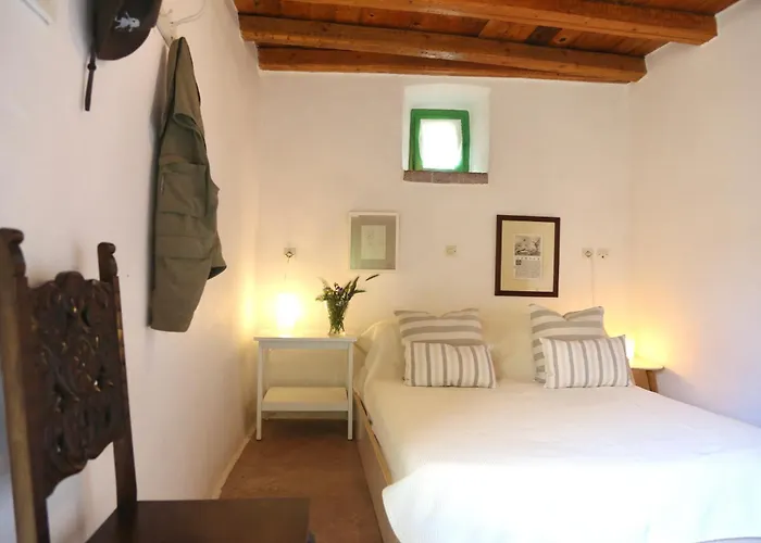 Axion * Aroniadhiánika